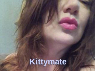 Kittymate