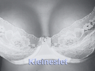 Kleineslet