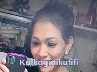 Kulkoginikutifi