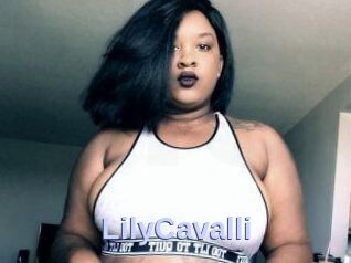 Lily_Cavalli