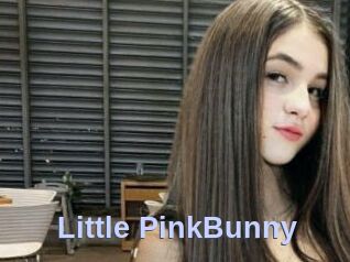 Little_PinkBunny Big Sexy Titties