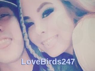 LoveBirds247