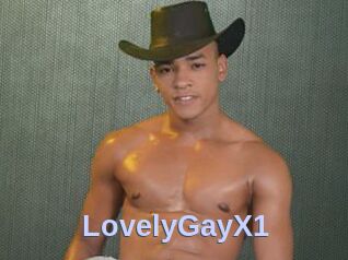 LovelyGayX1