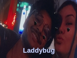 Laddybug