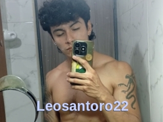 Leosantoro22