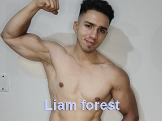 Liam_forest