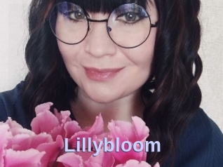 Lillybloom