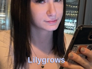 Lilygrows