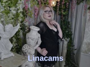 Linacams