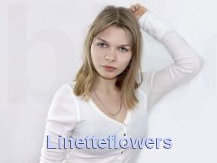 Linetteflowers