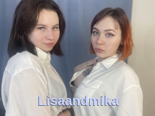 Lisaandmika