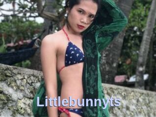 Littlebunnyts