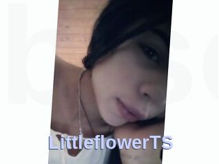 LittleflowerTS