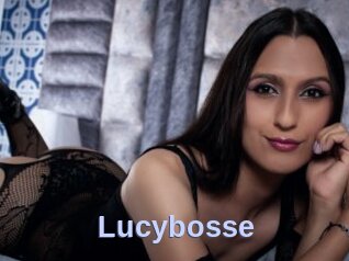 Lucybosse