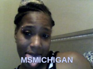 MSMICHIGAN