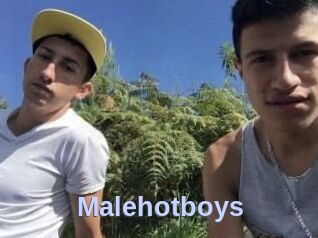 Malehotboys
