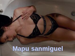 Mapu_sanmiguel