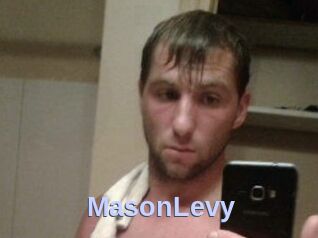Mason_Levy