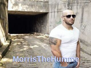 MorrisTheHumme