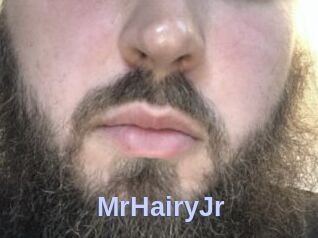 MrHairyJr