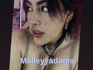Malleyyadams