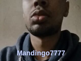 Mandingo7777