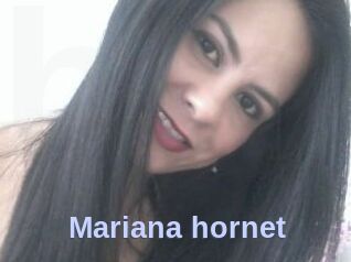Mariana_hornet