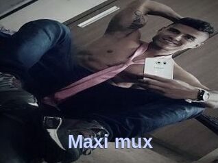 Maxi_mux