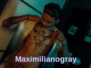 maximilianogray Big Sexy Titties
