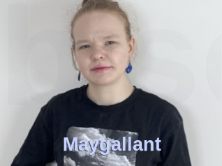 Maygallant