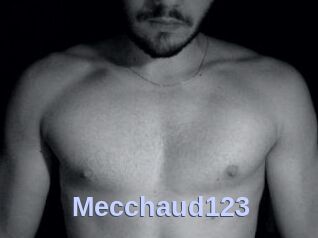 Mecchaud123