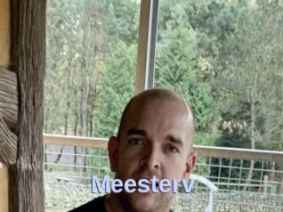 Meesterv