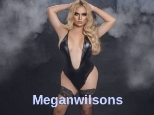 meganwilsons Big Sexy Titties
