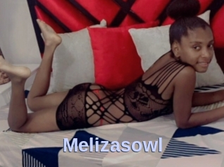 Melizasowl
