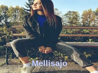 Mellisajo