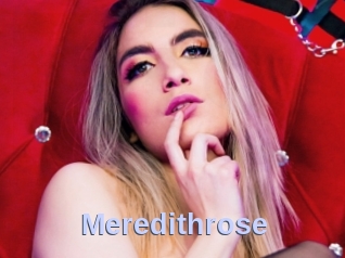 meredithrose Big Sexy Titties