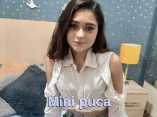 Mini_puca