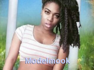 Modelmook