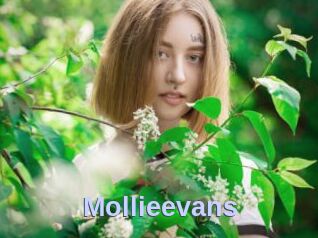 mollieevans Big Sexy Titties