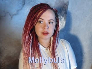 Mollybuls