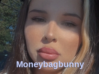 Moneybagbunny