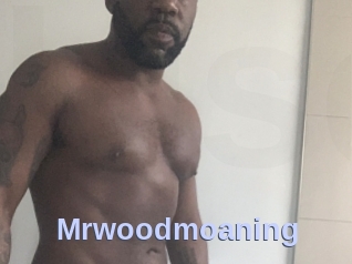 Mrwoodmoaning