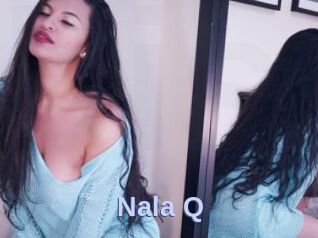 Nala_Q