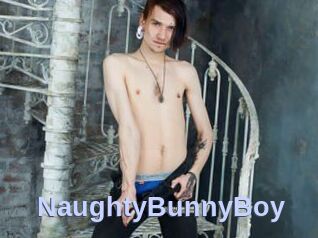NaughtyBunnyBoy