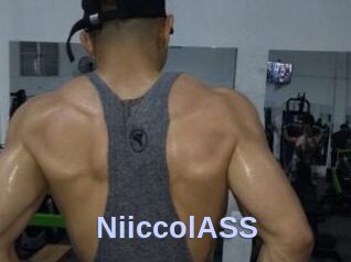 NiiccolASS