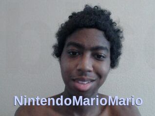 NintendoMarioMario