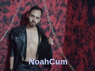 NoahCum