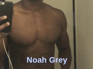 Noah_Grey