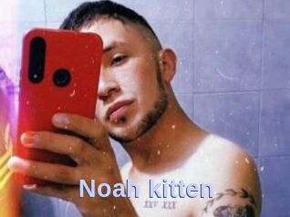 Noah_kitten