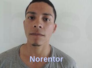 Noren_tor